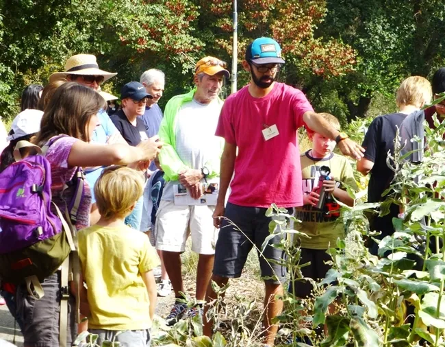 Entomologist Joel Hernandez leads a 2015 butterfly tour at the UC Davis Arboretum. He'll conduct another tour at 10 a.m., Sunday, Sept. 18 at the UC Davis Arboretum. (Photo by Elaine Fingerett, UC Davis Arboretum)