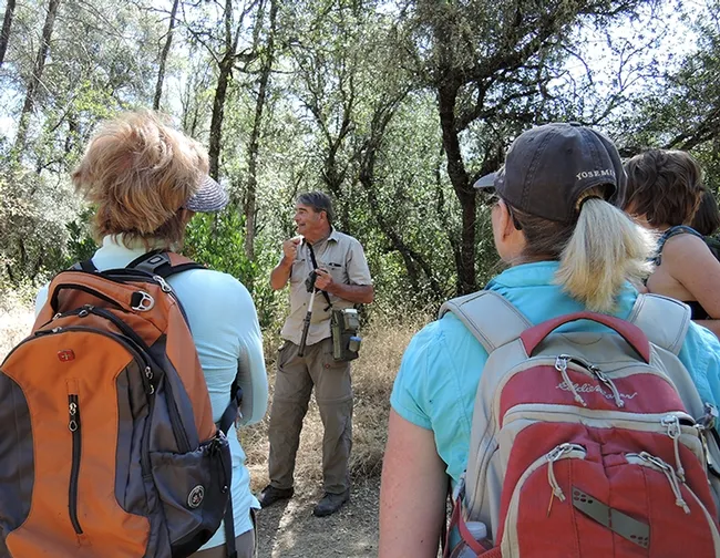 Naturalist Greg Kareofelas (center), an associate with the Bohart Museum of Entomology, has sighted two tagged migrating monarchs, one at Table Mountain and the other at Knights Landing. (Photo by Kathy Keatley Garvey)