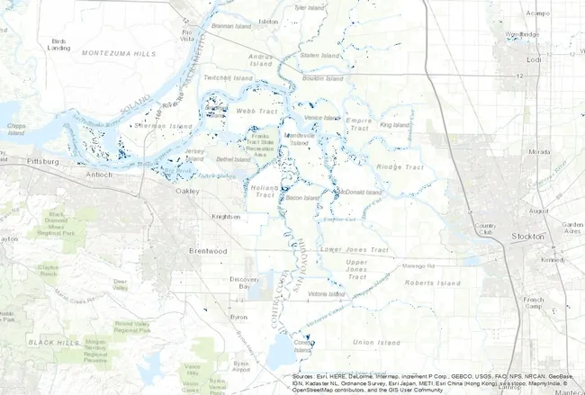 Satellite map of live water hyacinth (WH) coverage in Delta waterways that is being used to initialize the NASA biomass growth model of floating invasive weeds. This coverage was estimated as of August 14, 2016, from the best cloud-free Landsat satellite imagery. Areas estimated with a high probability (greater than 50%) live WH coverage are marked by dark blue colored pixels.