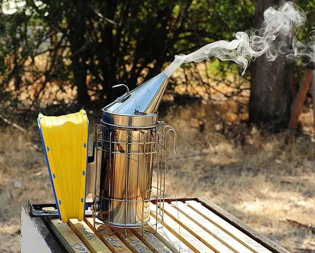 Part of the practical exam: how to fuel a smoker. (Photo by Kathy Keatley Garvey)