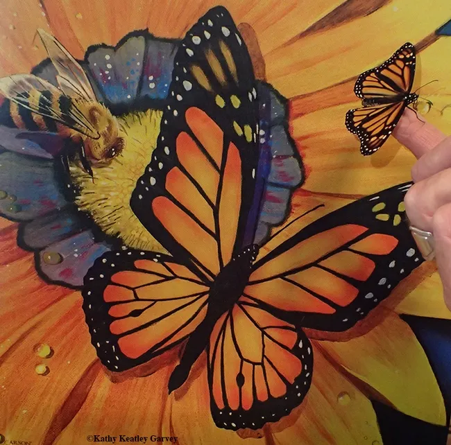 A female monarch that eclosed on Jan. 5 perches on a finger, next to a garden flag depicting a male monarch and a worker honey bee. (Photo by Kathy Keatley Garvey)