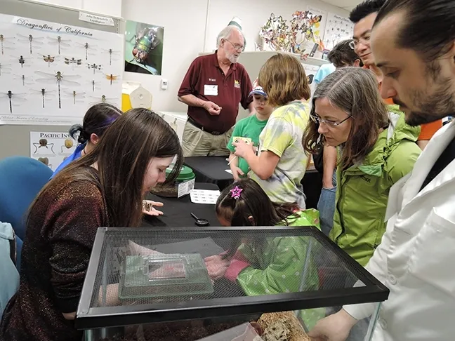 Robbin Thorp (back center), distinguished emeritus professor of entomology at UC Davis, helps out at the Bohart Museum of Entomology during the Biodiversity Museum Day. At right is Bohart associate/undergraduate entomology student Wade Spencer. (Photo by Kathy Keatley Garvey)