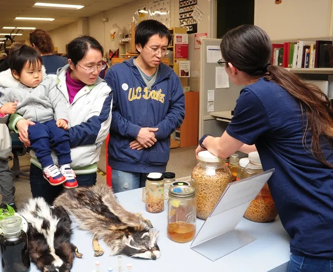 UC Davis scientist Baohua Li of the Department of Plant Sciences, and his wife, Yao and daughter Annie, 2, check out the nematodes. (Photo by Kathy Keatley Garvey)