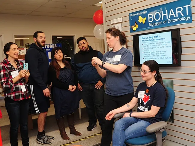 Tabatha Yang (standing at right) explains what bed bug-feeding is all about. Seated is "blood donor" Lauren Camp. (Photo by Kathy Keatley Garvey)