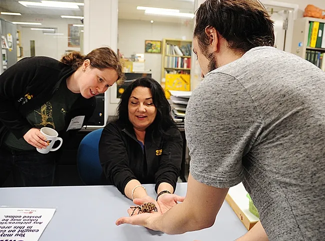 Tabatha Yang (far left), education and outreach coordinator for the Bohart, entomologist and Bohart associate Wade Spencer, entomology student at UC Davis, introduce KUIC's Barbara Hoover to a tarantula named Coco McFluffin. (Photo by Kathy Keatley Garvey)