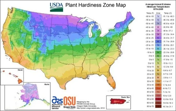 Plant Hardiness Zones