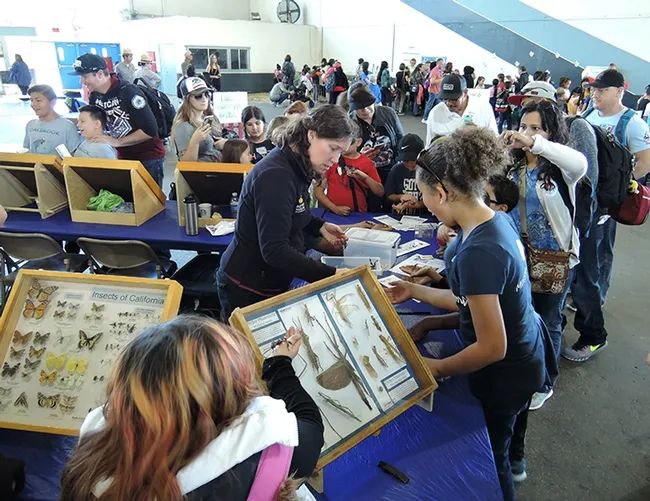 Tabatha Yang (center) education and outreach coordinator for the Bohart Museum of Entomology, talks to visitors at the Youth Ag Day. (Photo by Kathy Keatley Garvey)