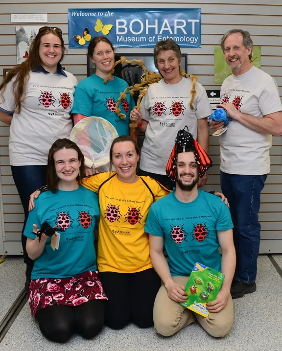 The Bohart team includes (front, from left) graduate students Charlotte Herbert and Jessica Gillung and undergraduate student Wade Spencer. In back (from left) are UC Davis biology student Emma Cluff; Tabatha Yang, education and outreach coordinator; Bohart Museum director Lynn Kimsey, professor of entomology; and Steve Heydon, senior museum scientist. (Photo by Kathy Keatley Garvey)