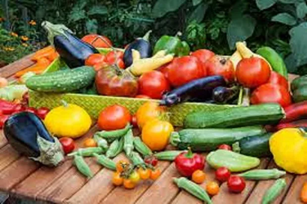Veggie harvest rev