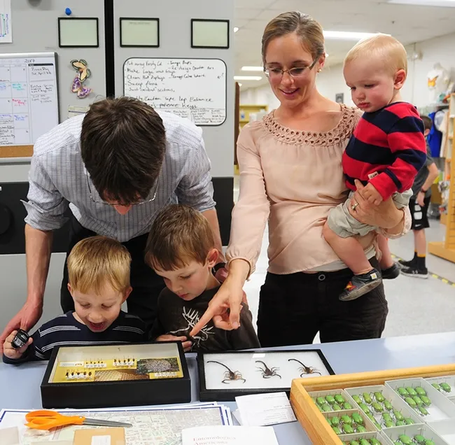 Checking out the insect specimens at the Bohart Museum of Entomology are David and Sarah Trombly and their three sons (from left) Joshua, 4, Daniel, 5, and Joseph, 11 months. (Photo by Kathy Keatley Garvey)