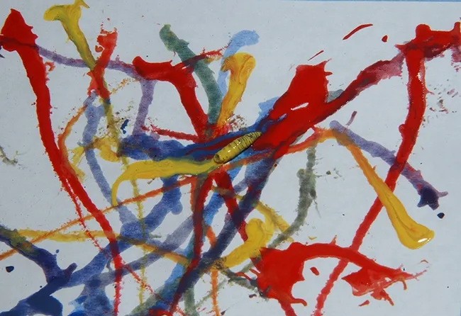 A maggot in action, creating Maggot Art. Artists can guide the movement of the maggots. (Photo by Kathy Keatley Garvey)