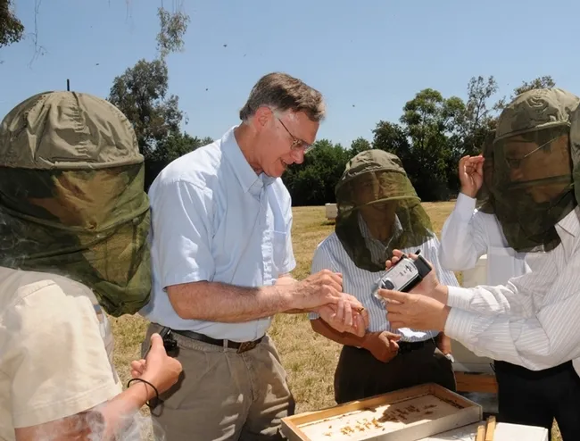 Honey bee guru Eric Mussen giving a tour of the apiary at the Harry H. Laidlaw Jr. Honey Bee Research Facility. (Photo by Kathy Keatley Garvey)