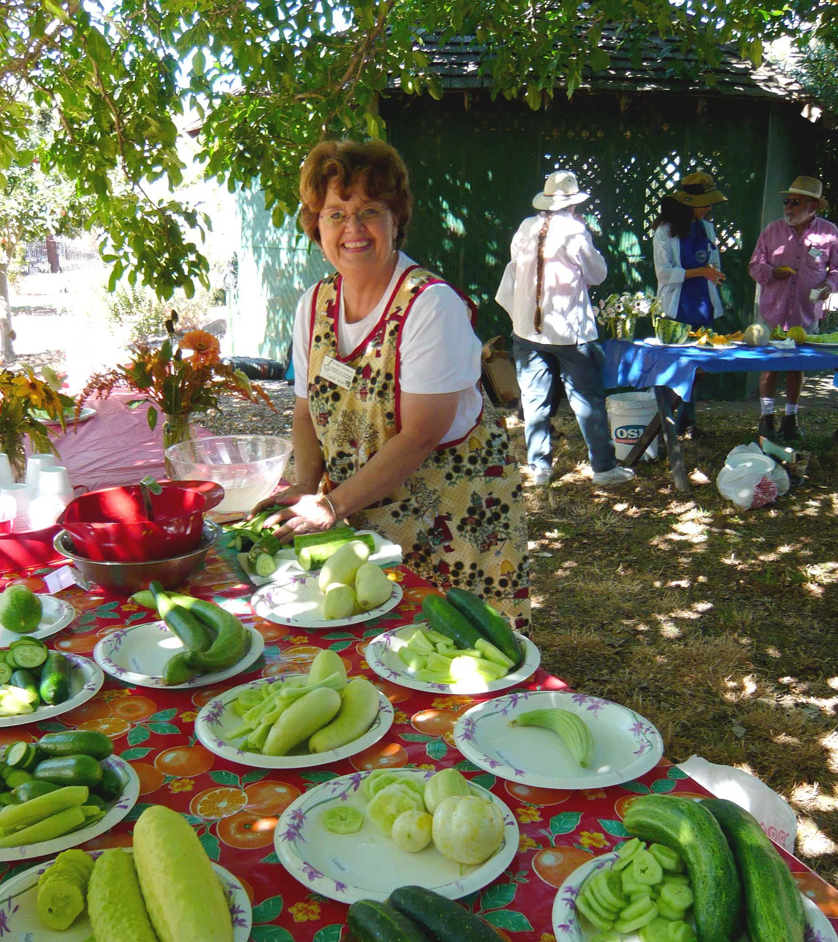 A woman in a floral apron smiles at a cucumber tasting event, surrounded by plates of various cucumbers on a vibrant fruit-patterned tablecloth.