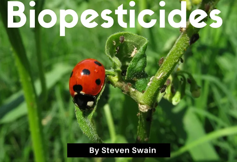 biopesticides