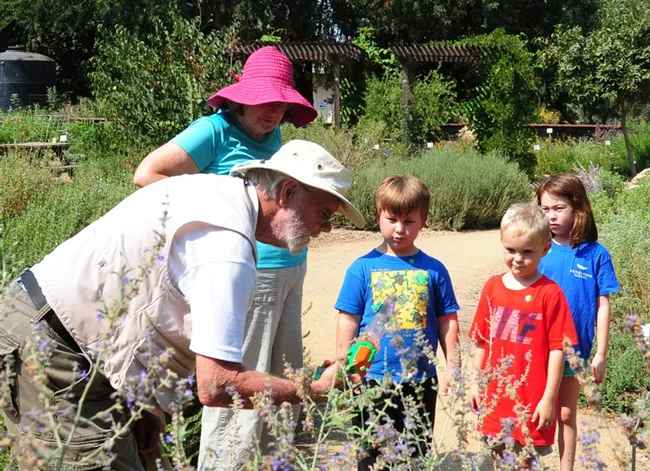 Robbin Thorp (left), distinguished professor of entomology at UC Davis, catches a bee with his device. A magnifying class enables the youngsters to see the bee up close. (Photo by Kathy Keatley Garvey)