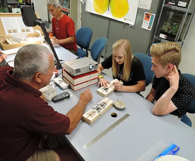 Folsom Lake College biology major Lauren Orris of Shingle Springs, a student of entomologist and assistant professor Fran Keller, pins a butterfly as her brother, Luke Orris, a high school student, watches. At left is entomologist Jeff Smith, who curates the Bohart's Lepitoptera collection. Both Lauren and Luke plan to enter the field of medicine. Keller, a Bohart Museum associate, received her doctorate in entomology from UC Davis.(Photo by Kathy Keatley Garvey)