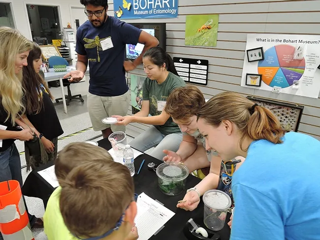 UC Davis Entomology Club members (back, from left) Lohitashwa "Lohit" Garikipati,secretary; Maia Lundy, past president; Chloe Shott, president; and Crystal Homicz, treasurer, greet guests at the Bohart Museum open house. (Photo by Kathy Keatley Garvey)