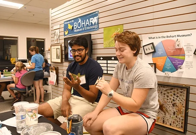 UC Davis Entomology Club officers, secretary Lohitashwa "Lohit" Garikipati and president Chloe Shott, show the praying mantids. (Photo by Kathy Keatley Garvey)