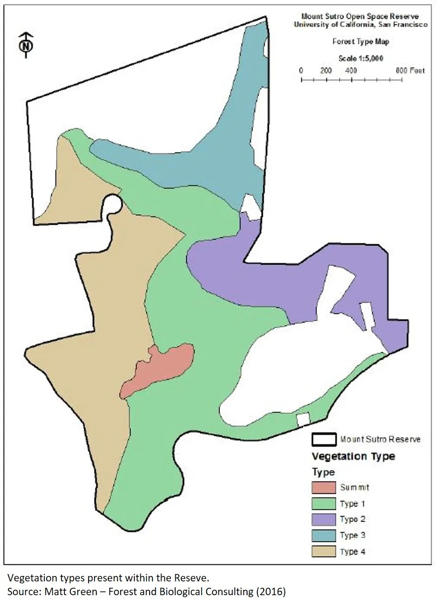 Vegetation Types Mount Sutro
