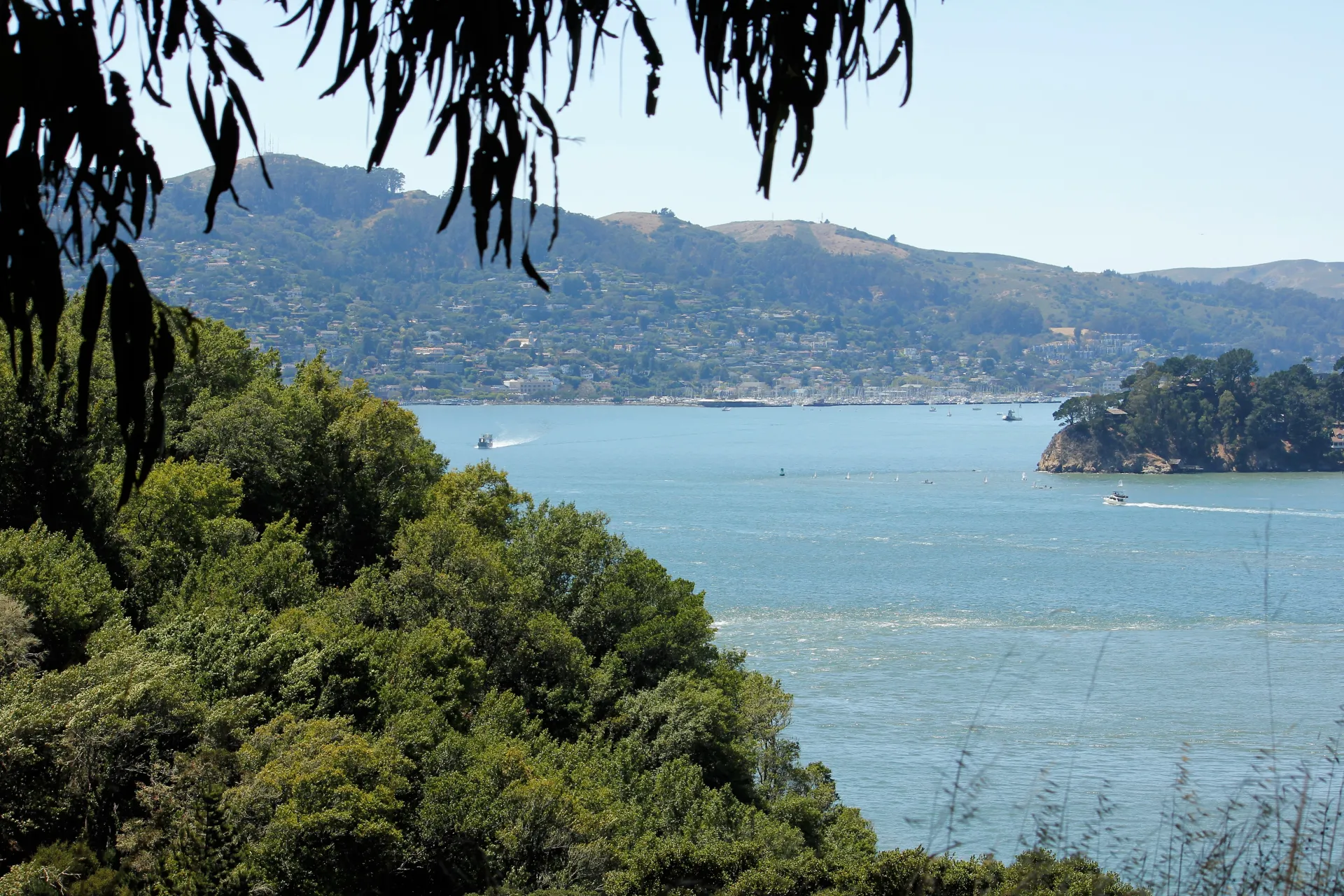 Angel Island