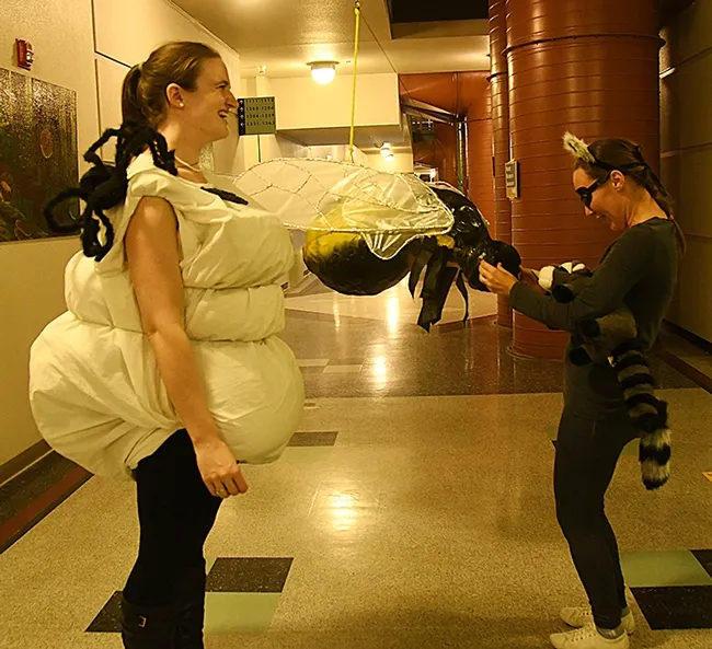 UC Davis PhD students Charlotte Herbert (left) and Jessica Gillung admire the fly pinata, depicting the genus Acrocera. (Photo by Kathy Keatley Garvey)