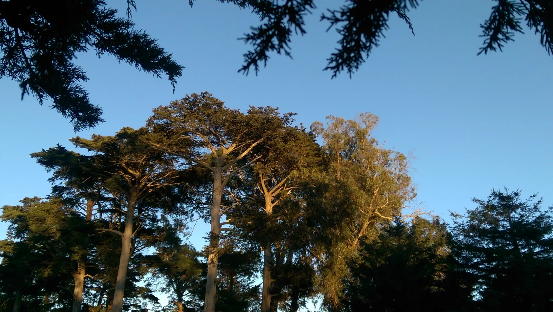 Lake Park San Francisco