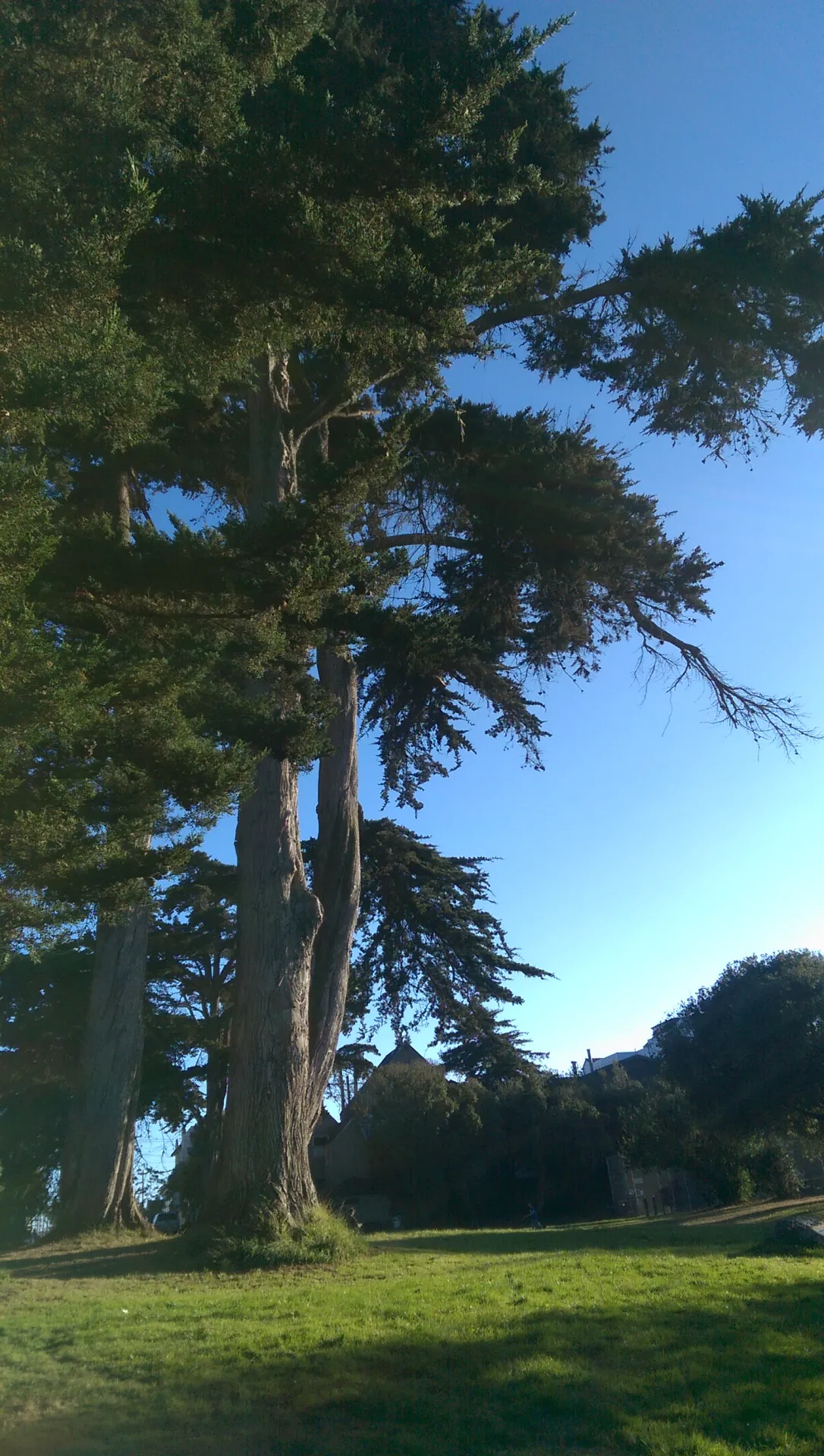 Lake Park San Francisco