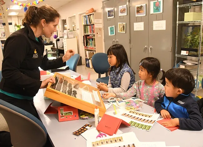 Tabatha Yang, Bohart Museum education and outreach coordinator, shows dung beetles to the Huang siblings (from left) Amy, 6, Julie, 4, and Alex, 3, of Davis. (Photo by Kathy Keatley Garvey)