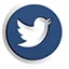 Twitter Link
