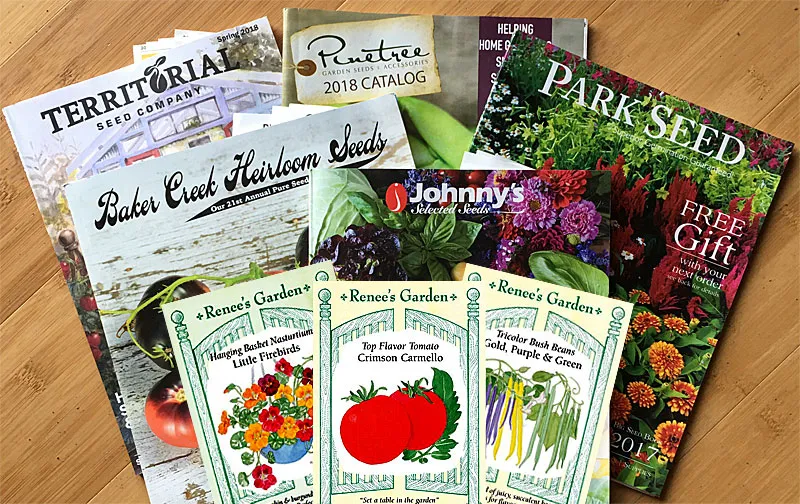 Catalogs and online stores