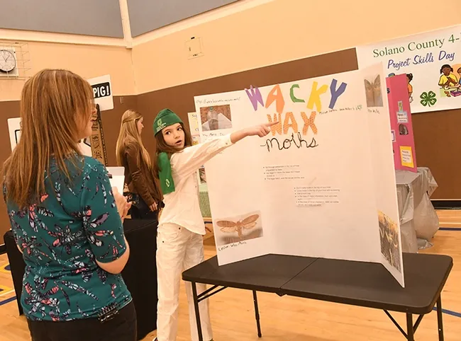 Vaca Valley 4-H'er and beekeeper Miriam Laffitte explains wax moths to evaluator Bridget Stephens, a project leader in the Sherwood Forest 4-H Club, Vallejo. (Photo by Kathy Keatley Garvey)