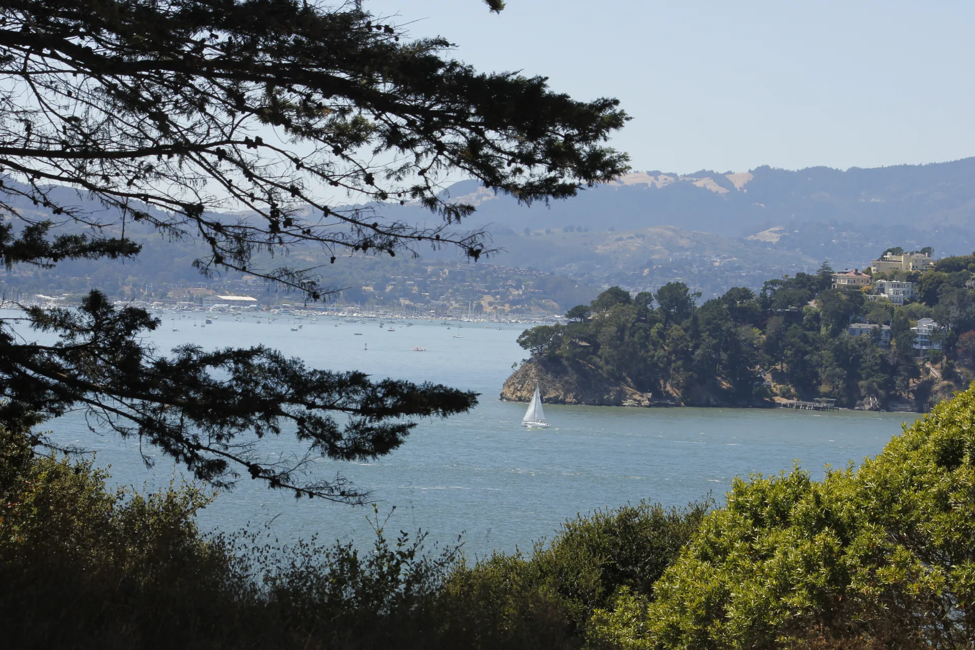 Angel Island