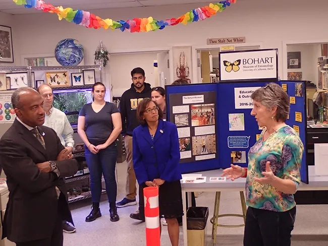 Lynn Kimsey (far right), director of the Bohart Museum of Entomology, talks about the history of the insect museum to UC Davis Chancellor Gary May and Dean Helene Dillard (center) of the College of Agricultural and Environmental Sciences. In back are Steve Nadler, chair of the Department of Entomology and Nematmology; undergraduate students Emma Cluff and Lohit Garikipati and Nann Fangue, current chair of the Wildlife, Fish and Conservation Biology Department. (Photo by Kathy Keatley Garvey)