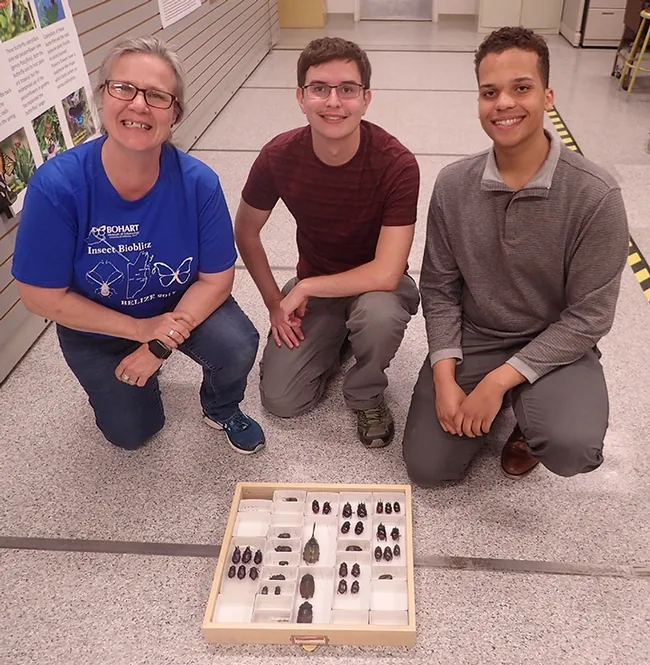Many insects collected in Belize now have a home at the Bohart Museum of Entomology. From left are Fran Keller, assistant professor at Folsom Lake College, and collectors Darian Dungey of Concord, a UC Davis graduate in entomology, and Noah Crockette of Davis, Sacramento City College student. Some of their insect specimens are shown. (Photo by Kathy Keatley Garvey)