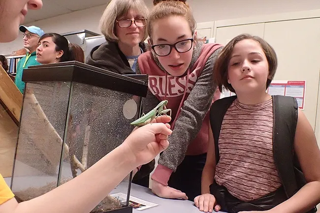 Trio of Napa visitors (from left) teacher Marykay Osborn, Abby Jurgens and Olivia Hamilton, 11, (one of Osborn's students) check out Cupcake, the praying mantis. (Photo by Kathy Keatley Garvey)