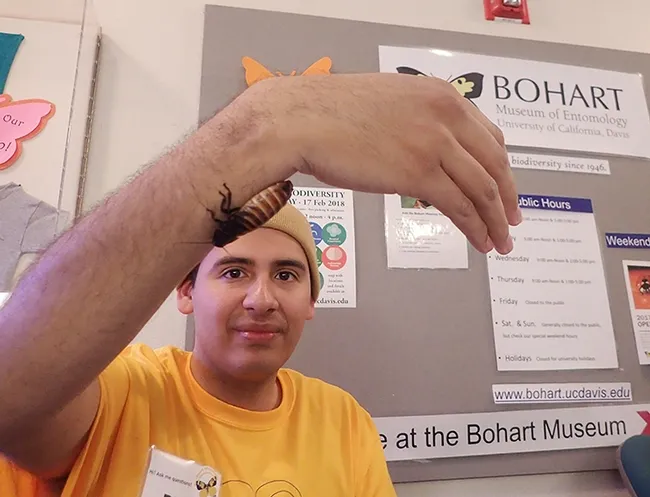 UC Davis student Diego Rivera shows a Madagascar hissing cockroach. (Photo by Kathy Keatley Garvey)