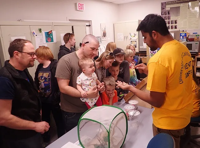 UC Davis entomology student Lohit Garikipati shows his orchid praying mantis and others from his collection. (Photo by Kathy Keatley Garvey)