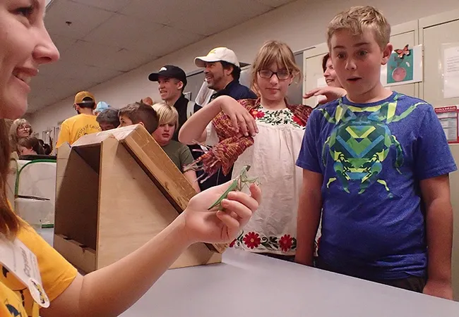 UC Davis student Crystal Homicz and her praying mantis, Cupcake, draw reactions. (Photo by Kathy Keatley Garvey)