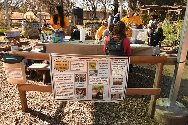 Visitors enjoy making seed balls for the bees, one of the featured activities at the Häagen-Dazs Honey Bee Haven last Saturday. (Photo by Kathy Keatley Garvey)