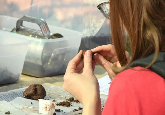 Visitors of all ages crafted seed balls for the bees. (Photo by Kathy Keatley Garvey)