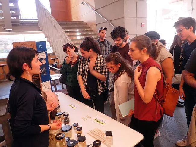 Visitors expressed awe and wonder at the nematode collection during the UC Davis Biodiversity Museum Day. At left, staffing the table, is UC Davis diagnostic parasitologist Lauren Camp, who received her doctorate from UC Davis. (Photo by Kathy Keatley Garvey)