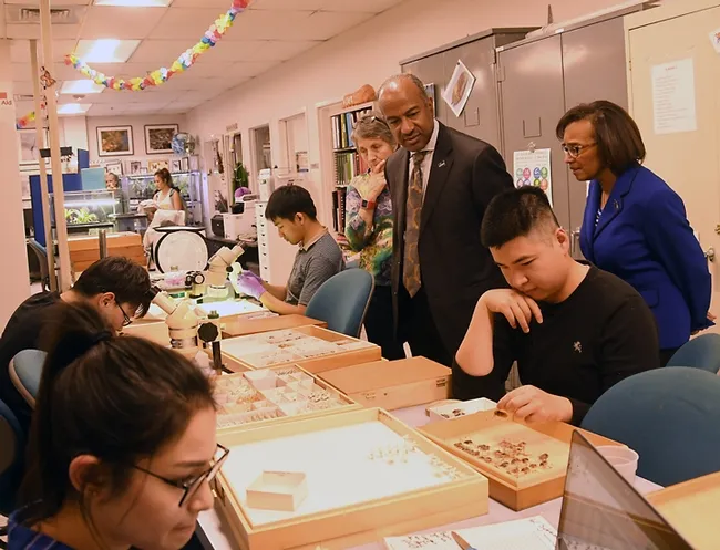 UC Davis Chancellor Gary May and Dean Helene Dillard of the College of Agricultural and Environmental Sciences check out the specimens being sorted by UC Davis student Dannie Nguyen. Next to the chancellor are Lynn Kimsey director of the Bohart Museum, and student Minsu Kang. At left are students Ivana Satre (foreground) and Dinguan Peng. (Photo by Kathy Keatley Garvey)