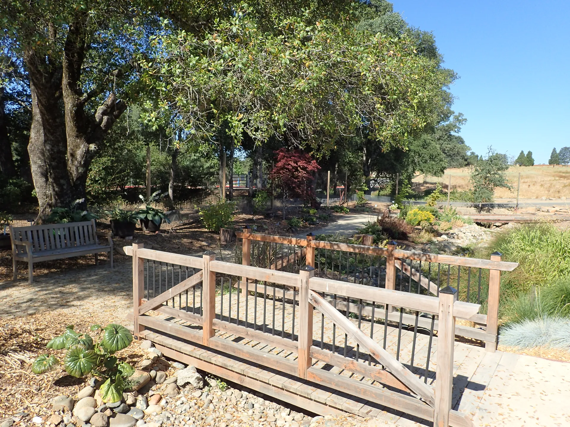 ShadeGarden_P7072024