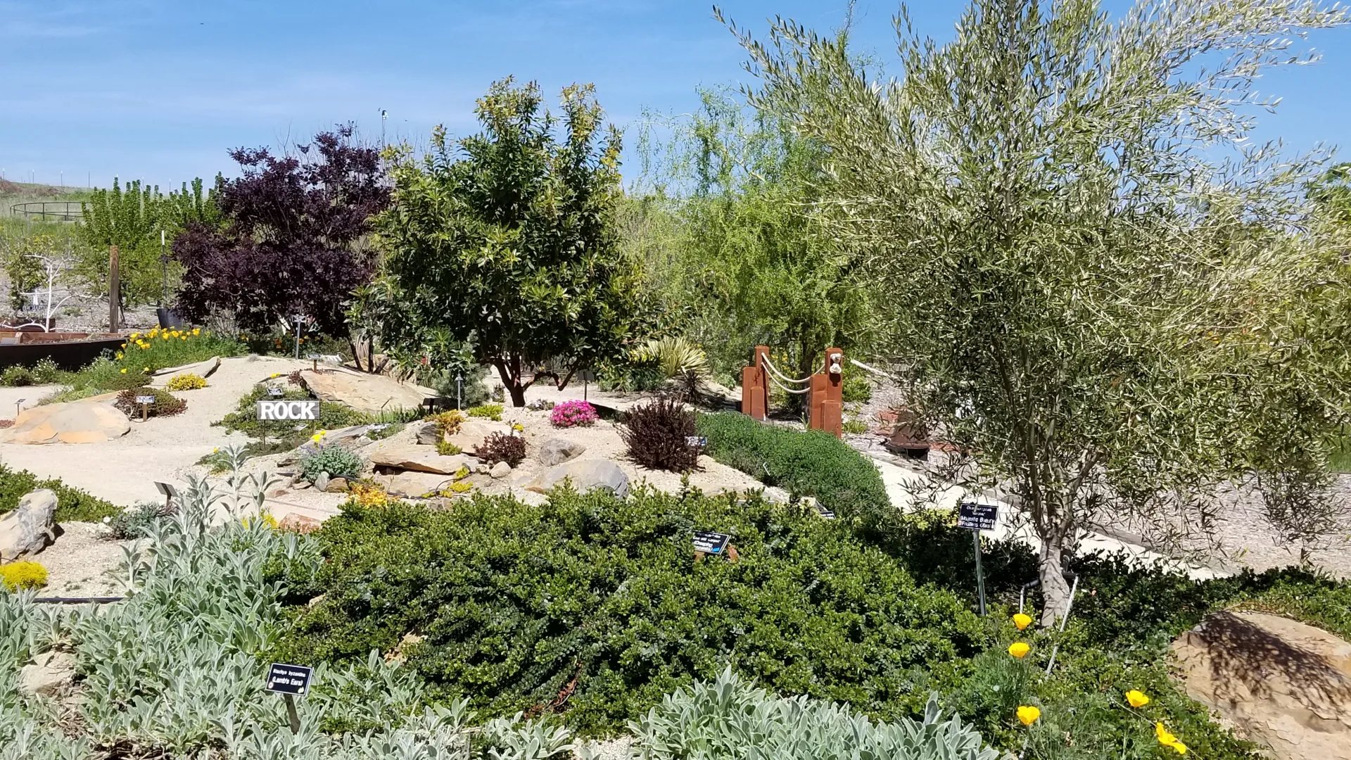 Rock Garden_20180424_142457