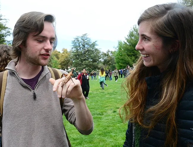 UC Davis students Bradyn O'Connor and Jacquelyn Shaff, both wildlife biology majors, get acquainted with an Australian leaf stick insect. (Photo by Kathy Keatley Garvey)
