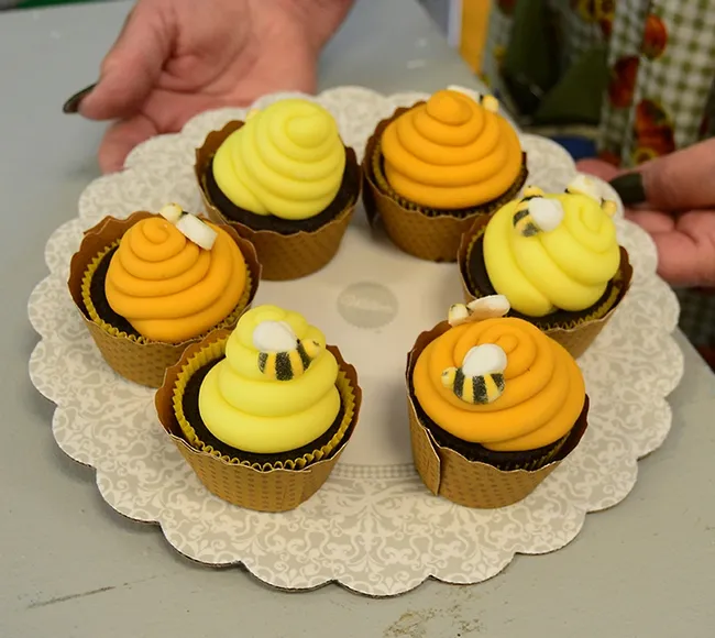 Khole Cahoon, 13, of Vacaville won a blue ribbon for her chocolate ganache cupcakes, decorated with bees. (Photo by Kathy Keatley Garvey)