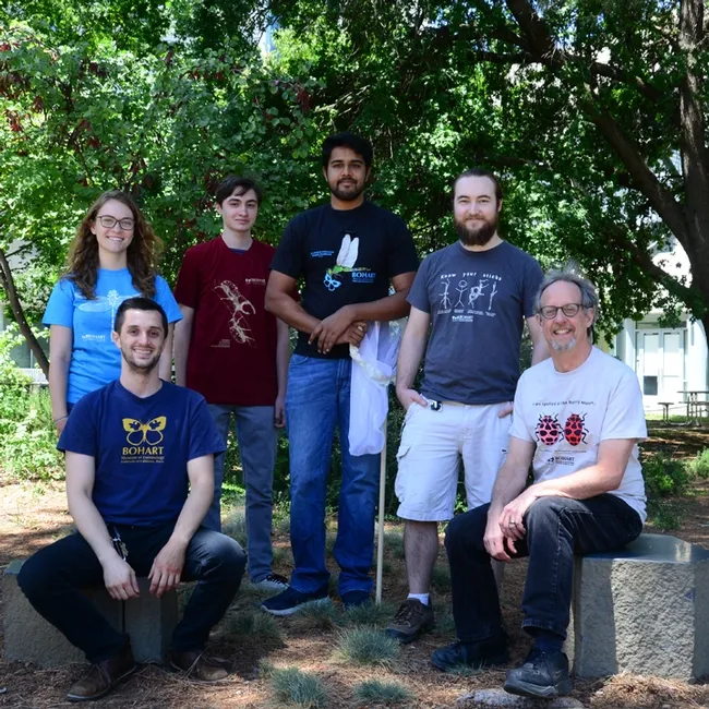 Wearing Bohart Museum of Entomology t-shirts are (seated) UC Davis student Wade Spencer (left) and senior museum scientist Steve Heydon. In back are UC Davis students and Bohart associates Eliza Litsey, Parras McGrath, Lohit Garikipati, and Brennen Dyer. Spencer, Litsey, Garikipiati and Dyer are all UC Davis students. (Photo by Kathy Keatley Garvey)