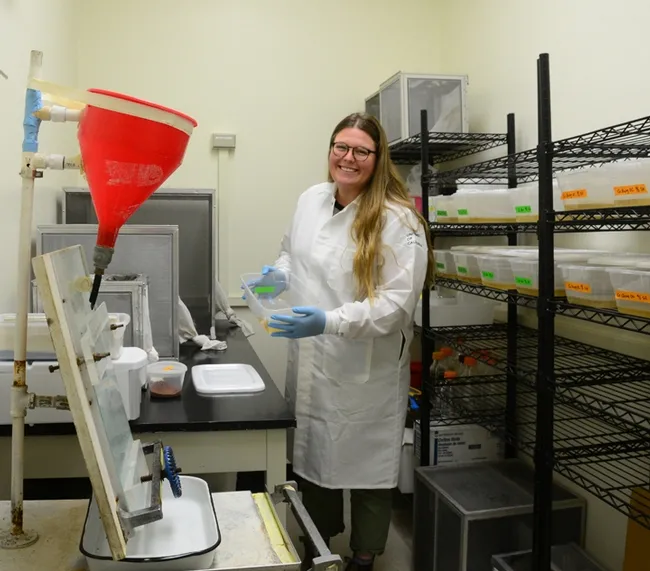 UC Davis doctoral student Olivia Winokur holds a tray of Culex tarsalis larvae in the insectoary. The Chris Barker lab now has nine colonies of mosquitoes in the insectary. (Photo by Kathy Keatley Garvey)