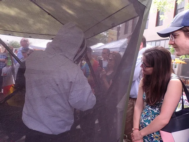 Festival-goers marveled at Elina Lastro Niño's live bee demonstration. (Photo by Kathy Keatley Garvey)