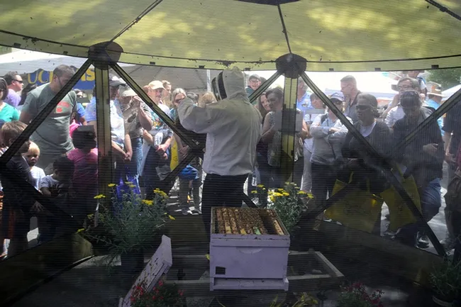 With the hive open in the foreground, Elina Lastro Niño talks to festival-goers. (Photo by Kathy Keatley Garvey)